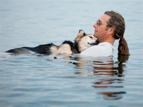 El perro Schoep en el lago Superior la mejor foto del año ...