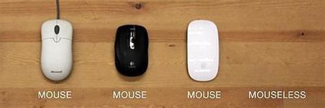 El primer ratón invisible   ABC.es