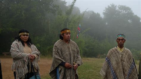 El Pueblo Mapuche quiere su propio gobierno >> Lejos de ...