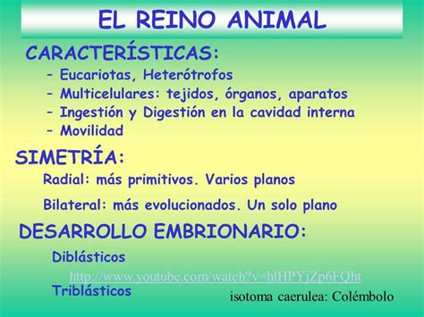 EL REINO ANIMAL.   ppt descargar