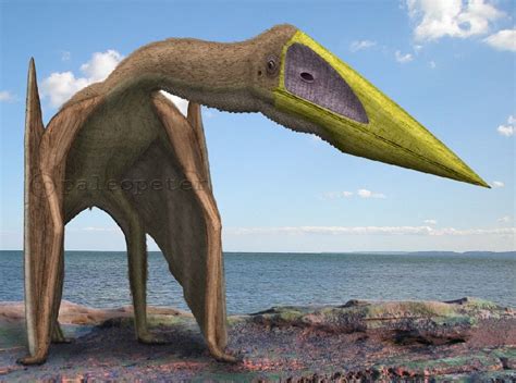El Ropen, supuesto pterosaurio vivente