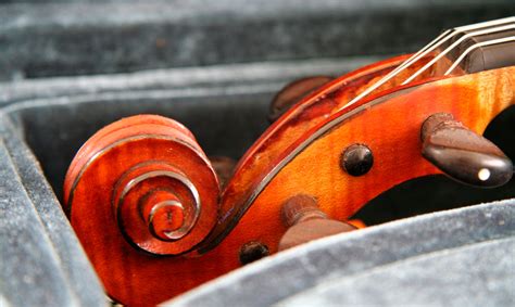 El secreto de los violines Stradivarius