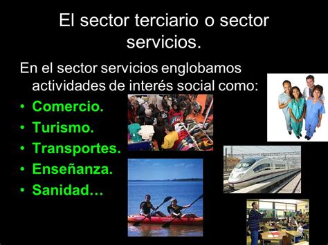 El sector terciario: comercio y turismo.   ppt video ...