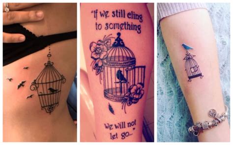 El significado de los tatuajes de aves Diseño