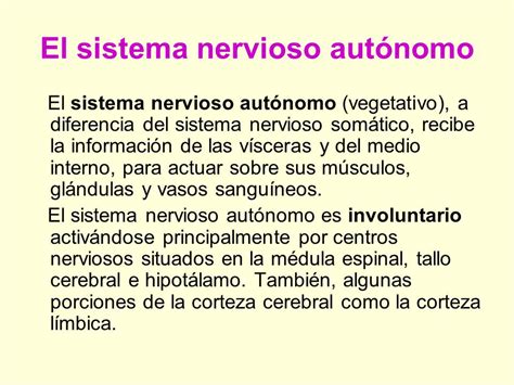 El sistema nervioso central: El encéfalo y la médula ...