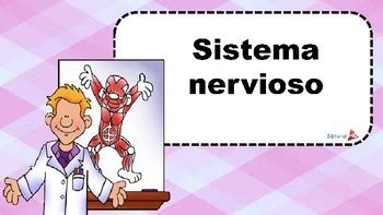 El Sistema Nervioso para Niños MATERIAL PARA IMPRIMIR by ...