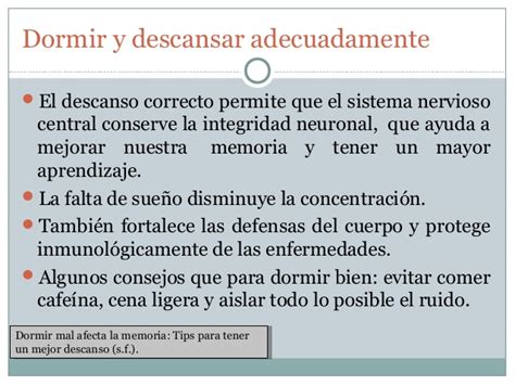 El sistema nervioso y los cuidados que se deben tener