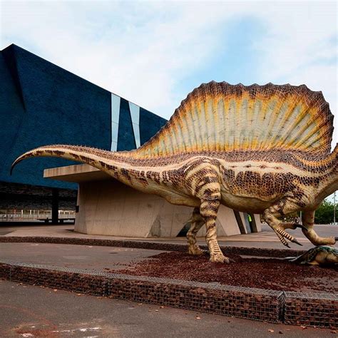 El Spinosaurus, el dinosaurio carnívoro más grande del ...