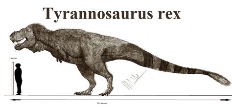 El Tyrannosaurus rex fue el verdadero rey de la ...