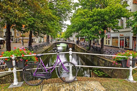 El uso de la bici en Holanda   Alquiler de bicis en Amsterdam