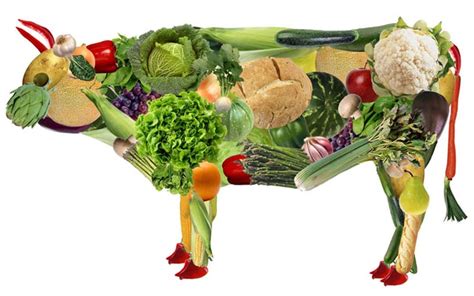 ¿El veganismo es un estilo de vida o una dieta para perder ...
