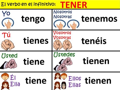 El verbo TENER.   ppt video online descargar
