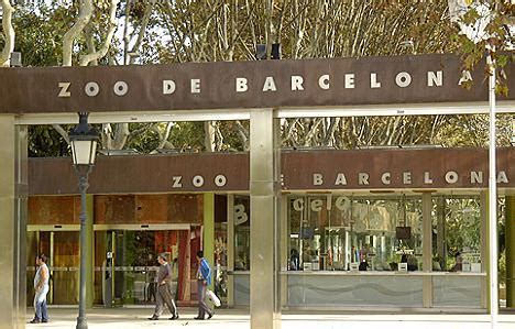 El zoo de Barcelona, uno de los más modernos del mundo ...