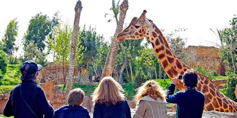 El Zoo de Jerez celebra su 65 aniversario con una amplia ...