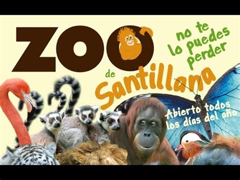 EL ZOO DE SANTILLANA DEL MAR CANTABRIA   YouTube