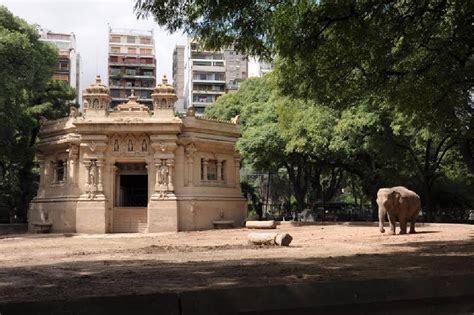 El Zoológico de Buenos Aires cierra después de 140 años ...
