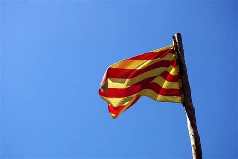 Elecciones al Parlamento de Cataluña 2010: Candidatos 2.0 ...
