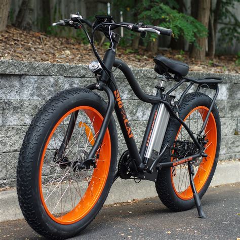 Electric Fat Cat X Mountain Bike | Bikes | Pinterest ...