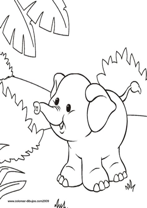 elefante para pintar y colo