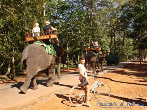 Elefante templos de Angkor – Camboya | Marcando el Polo