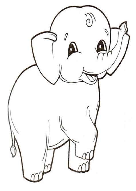 Elefantes para colorear   Dibujos para colorear