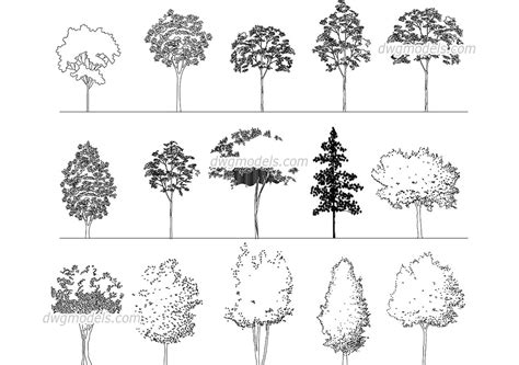Elevation of Deciduous Trees CAD blocks, free DWG file ...