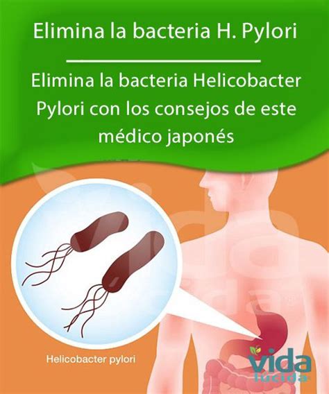 Elimina de tu cuerpo la bacteria helicobacter pylori ...