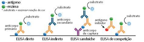 ELISA Enzyme Linked Immunosorbent Assay | Biomedicina Padrão