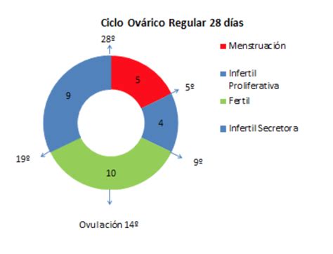 Embarazo durante la menstruación | Días Fértiles ...