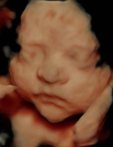 Embarazo: Semana 30 de embarazo