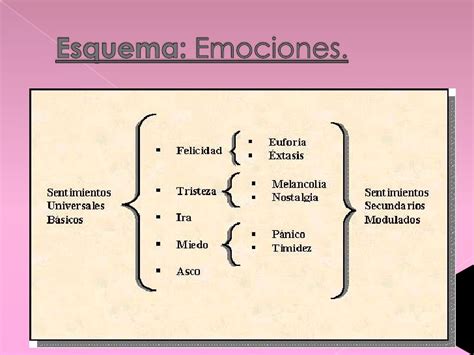 Emociones y sentimientos