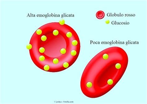 Emoglobina alta e bassa nel sangue e nelle urine