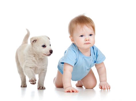 ¿En qué consiste la terapia infantil con animales? | Edúkame