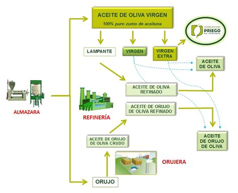 ¿En qué se diferencian un aceite de oliva, un aceite de ...