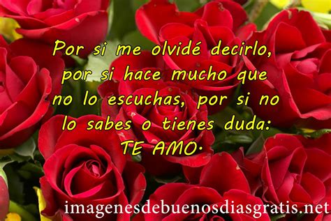 Encantadoras rosas rojas de amor | Imagenes De Buenos Dias ...