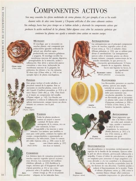 Enciclopedia De Plantas Medicinales Andrew Chevallier  pdf ...