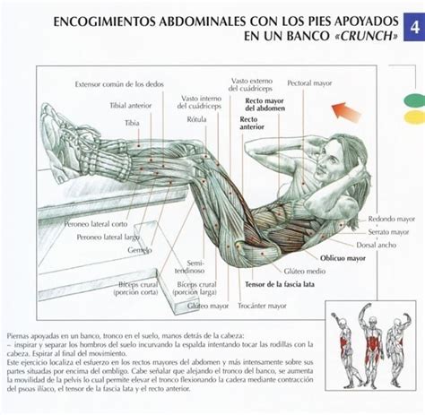 Encogimientos abdominales con los pies apoyados en un ...