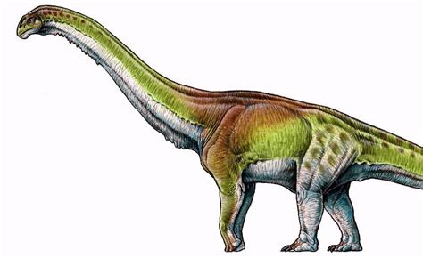 Encontraron al Patagotitan, el dinosaurio más grande del ...