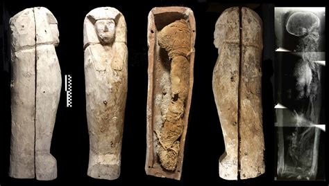 Encuentran 12 tumbas del Imperio Nuevo faraónico en Egipto ...