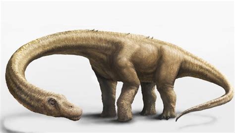 Encuentran el dinosaurio terrestre más grande del que se ...