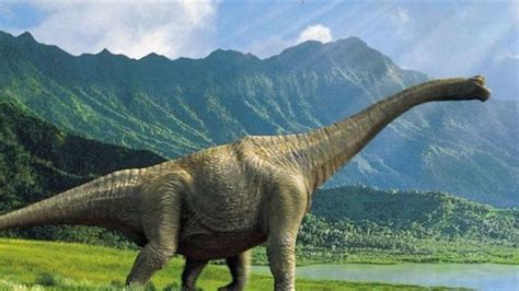 Encuentran en Argentina especies de dinosaurios de 200 ...