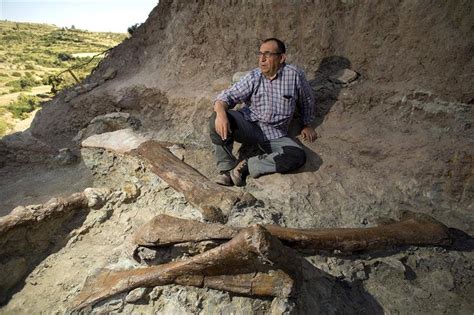 Encuentran en Castellón restos de un dinosaurio de hace ...