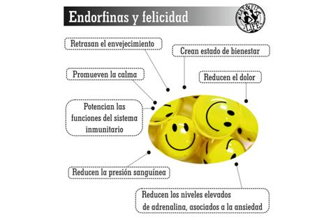 Endorfinas, las hormonas de la felicidad   Eat and Fit Life