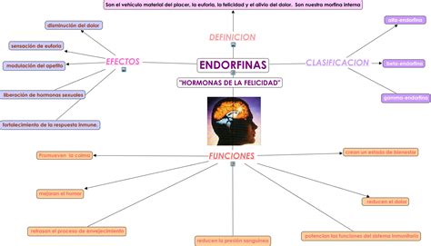 endorfinas psicologo onlineSupera Psicología Clínica y de ...