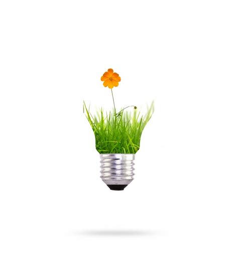 Energía renovable con una flor de naranja | Descargar ...
