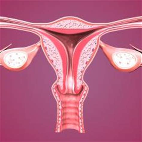 Enfermedades de los ovarios: MedlinePlus en español