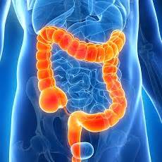 Enfermedades del colon: MedlinePlus en español