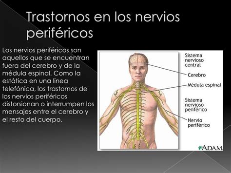 Enfermedades del Sistema Nervioso Grupo 8