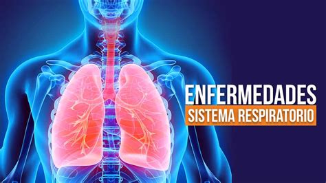Enfermedades del sistema respiratorio más comunes 【Con ...