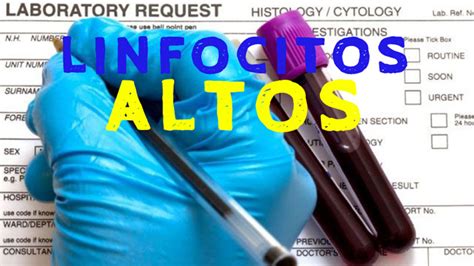 Enfermedades y causas de los linfocitos altos   La Guía de ...